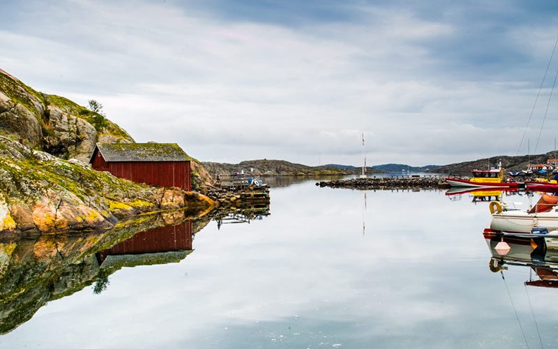 ellös Konsul